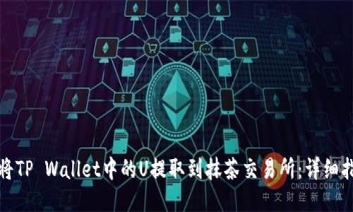 如何顺利将TP Wallet中的U提取到抹茶交易所：详细指南与技巧