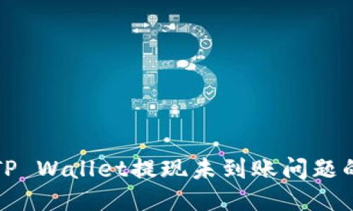 如何处理TP Wallet提现未到账问题的详尽指南