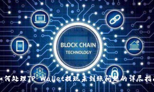 如何处理TP Wallet提现未到账问题的详尽指南