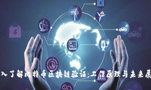 深入了解比特币区块链验证：工作原理与未来展望