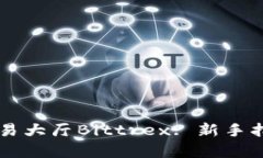 区块链币网交易大厅Bittrex: 新手指南与深度解析