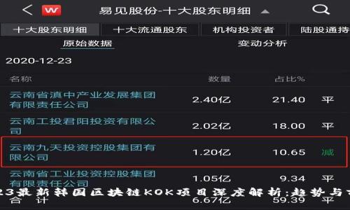 2023最新韩国区块链KOK项目深度解析：趋势与前景