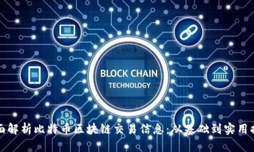 全面解析比特币区块链交易信息：从基础到实用指南