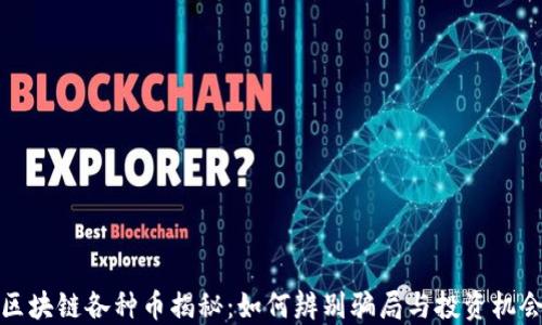 
区块链各种币揭秘：如何辨别骗局与投资机会