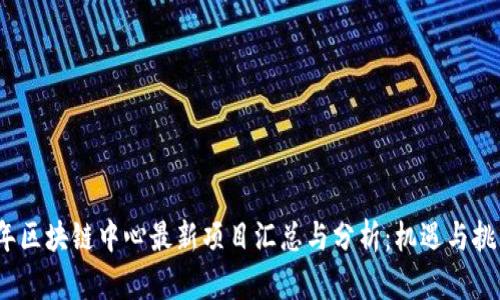 2023年区块链中心最新项目汇总与分析：机遇与挑战并存