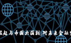 区块链技术的崛起与币圈大围剿：对未来金融生