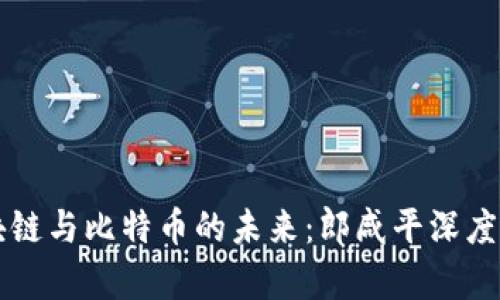 区块链与比特币的未来：郎咸平深度解析