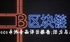 区块链Soco币池全面评估报告：潜力与风险分析