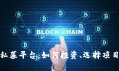 : 虚拟币区块链私募平台：如何投资、选择项目与
