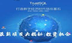 2023年区块链最新项目大揭秘：投资机会与行业趋