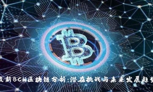 最新BCH区块链分析：潜在挑战与未来发展趋势