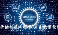 2025年最新区块链项目推荐：未来数字经济的前沿