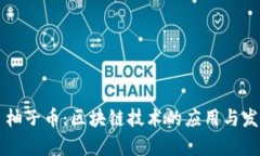 ### 柚子币：区块链技术的应用与发展解析