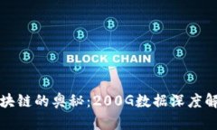 揭示比特币区块链的奥秘：200G数据深度解析与应