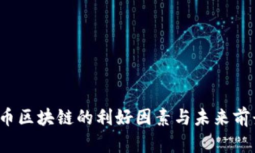  比特币区块链的利好因素与未来前景分析