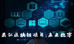 探索Pi币及其类似区块链项目：未来数字货币的可