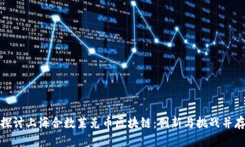 : 深入探讨上海合数莱克币区块链：创新与挑战并存的未来