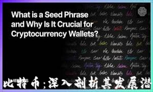 
区块链技术与比特币：深入剖析其发展潜力与投资机会