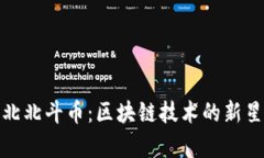深入解析张蕾北北斗币：区块链技术的新星及其