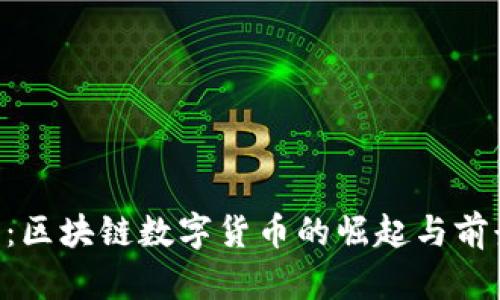 FDL币：区块链数字货币的崛起与前景分析