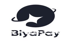 区块链与比特币：深入探讨二者的优劣及应用前