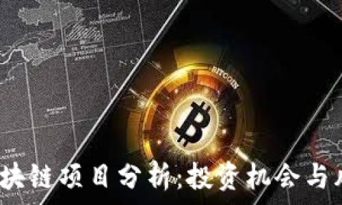   
2023年最新区块链项目分析：投资机会与风险的全面解析