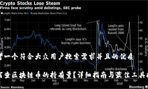 思考一个符合大众用户搜索需求并且的优质

如何查区块链币的持有量？详细指南与最佳工具推荐