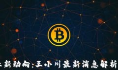 区块链行业新动向：王小川最新消息解析与趋势