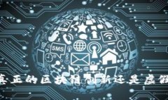 Pi币：真正的区块链创新还是虚假承诺？