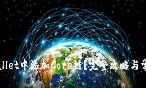 如何在TPWallet中添加Core链？完整攻略与常见问题解答
