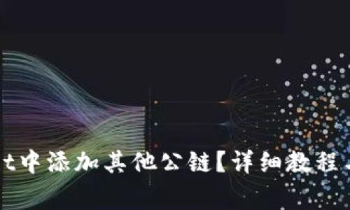 如何在TPWallet中添加其他公链？详细教程与常见问题解答