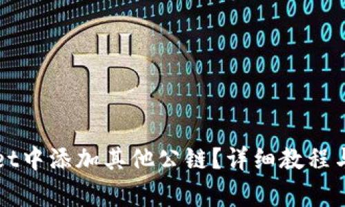 如何在TPWallet中添加其他公链？详细教程与常见问题解答