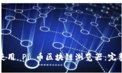 如何使用 Pi 币区块链浏览器：完整指南