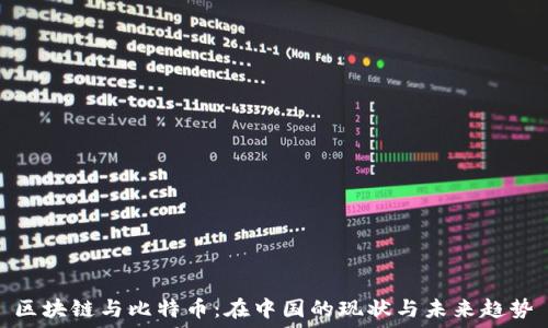   
区块链与比特币：在中国的现状与未来趋势