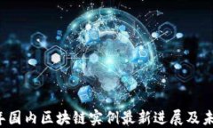 2023年国内区块链实例最新进展及未来展望