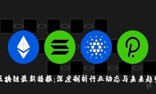 区块链最新播报：深度剖析行业动态与未来趋势
