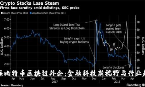 上海比特币区块链外企：金融科技新视野与行业趋势