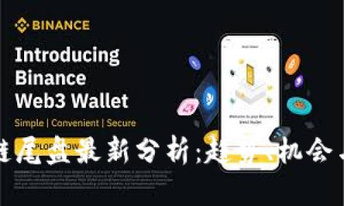 区块链尾盘最新分析：趋势、机会与风险