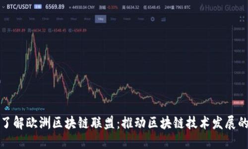 深入了解欧洲区块链联盟：推动区块链技术发展的先锋