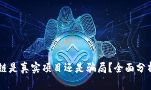 币迦索区块链是真实项目还是骗局？全面分析与深入解读