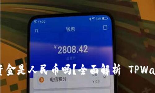 TPWallet 钱包里的资金是人民币吗？全面解析 TPWallet 钱包的货币支持
