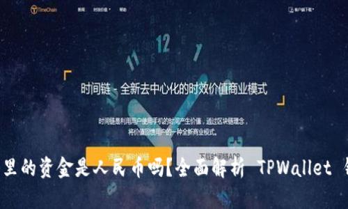 TPWallet 钱包里的资金是人民币吗？全面解析 TPWallet 钱包的货币支持