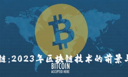 币雅区块链：2023年区块链技术的前景与发展趋势